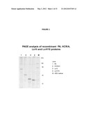 MULTIVALENT NANOEMULSION VACCINES diagram and image