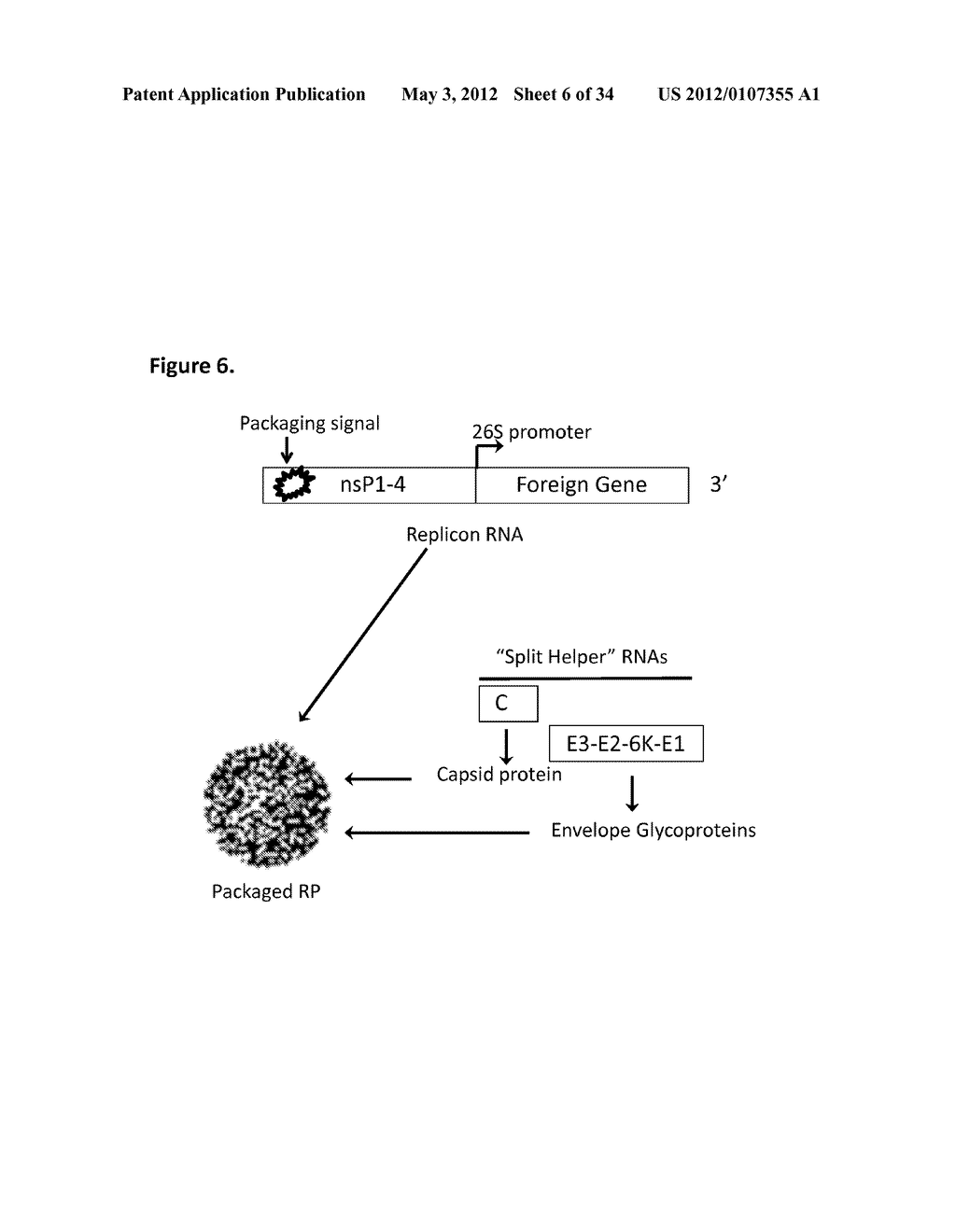 METHOD OF RAPIDLY PRODUCING IMPROVED VACCINES FOR ANIMALS - diagram, schematic, and image 07