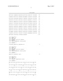 IMMUNOGEN AGAINST CAMPYLOBACTER INFECTION diagram and image