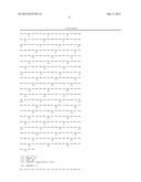 IMMUNOGEN AGAINST CAMPYLOBACTER INFECTION diagram and image