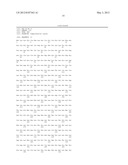 IMMUNOGEN AGAINST CAMPYLOBACTER INFECTION diagram and image