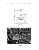 Plating or Coating Method for Producing Metal-Ceramic Coating on a     Substrate diagram and image