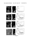 Plating or Coating Method for Producing Metal-Ceramic Coating on a     Substrate diagram and image