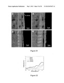 Plating or Coating Method for Producing Metal-Ceramic Coating on a     Substrate diagram and image