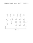 METHOD OF LITHOGRAPHY diagram and image