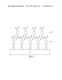 METHOD OF LITHOGRAPHY diagram and image