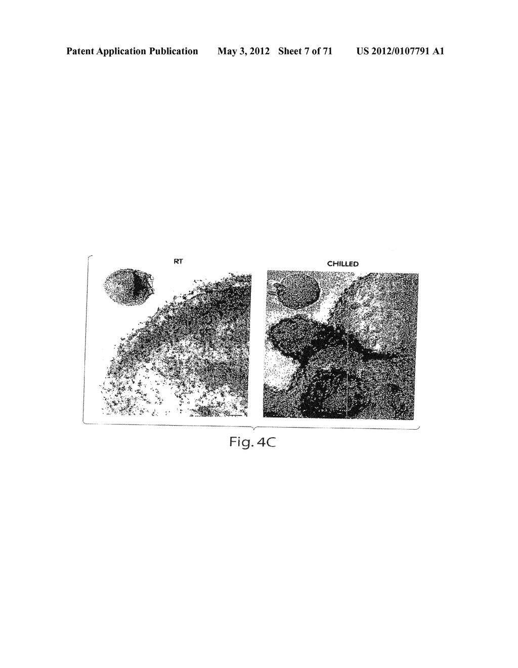 COMPOSITIONS AND METHODS FOR PROLONGING SURVIVAL OF PLATELETS - diagram, schematic, and image 08