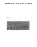 Highly sensitive method for the detection of cytosine methylation patterns diagram and image