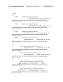 Highly sensitive method for the detection of cytosine methylation patterns diagram and image