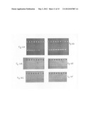 Highly sensitive method for the detection of cytosine methylation patterns diagram and image