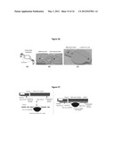 BURSTABLE LIQUID PACKAGING AND USES THEREOF diagram and image