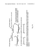Means and methods for investigating nucleic acid sequences diagram and image