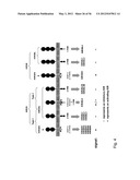 Means and methods for investigating nucleic acid sequences diagram and image