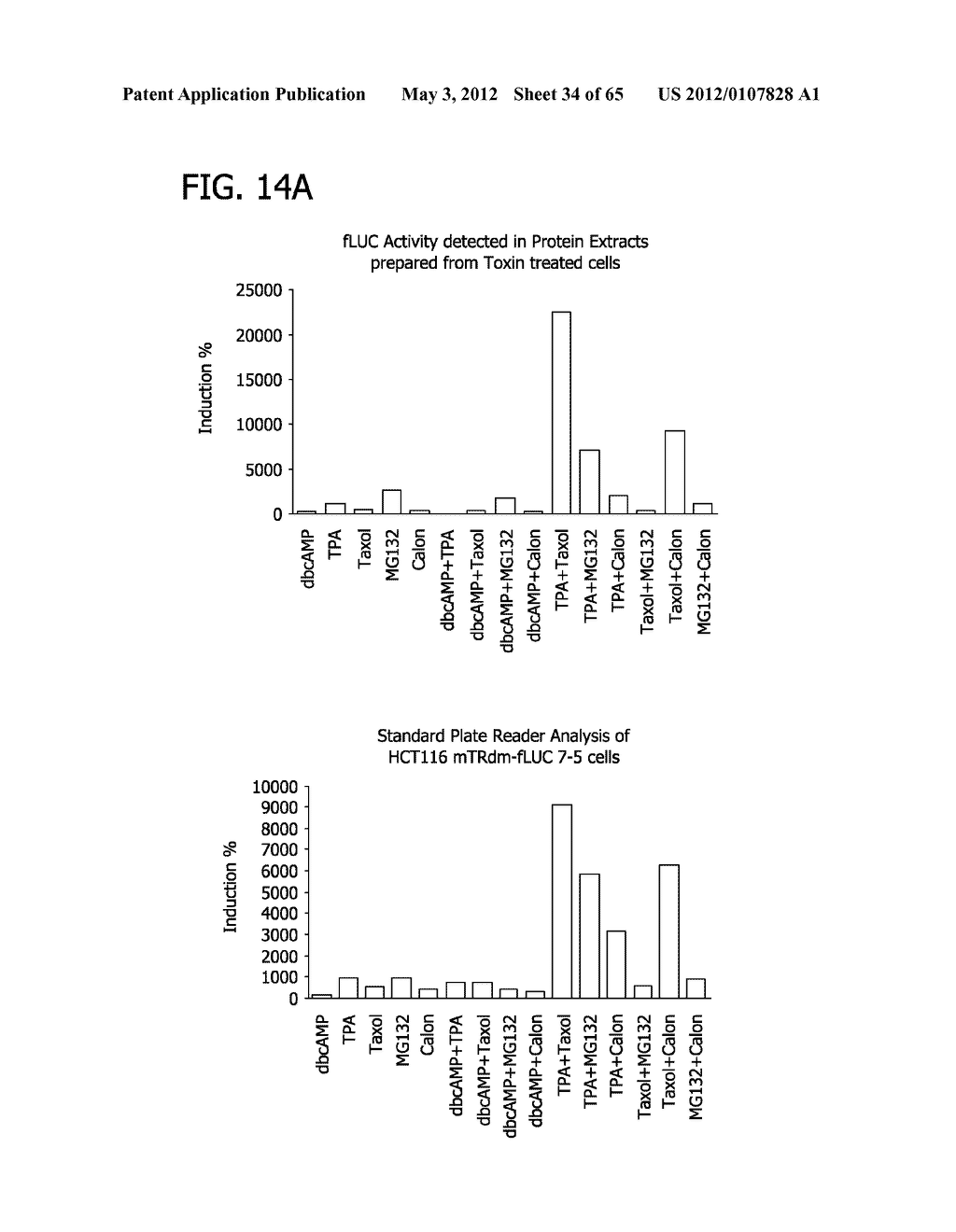 METHOD FOR IDENTIFYING A SUBPOPULATION OF MAMMALIAN CELLS WITH DISTINCTIVE     RIBOSOME TRANSLATION PROFILES - diagram, schematic, and image 35