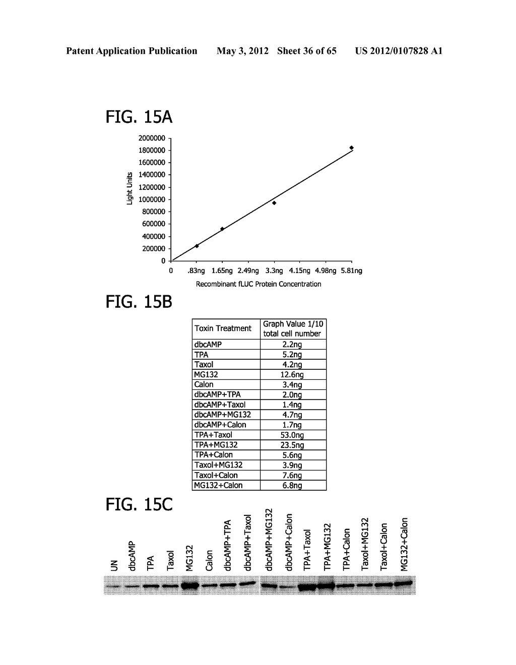 METHOD FOR IDENTIFYING A SUBPOPULATION OF MAMMALIAN CELLS WITH DISTINCTIVE     RIBOSOME TRANSLATION PROFILES - diagram, schematic, and image 37