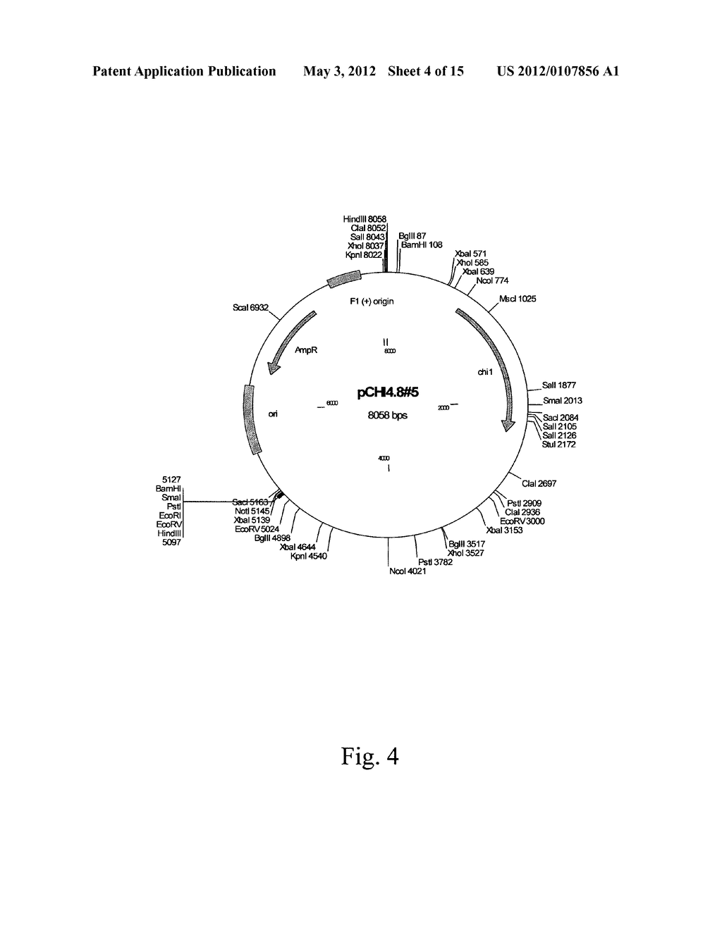 New Fungal Production System - diagram, schematic, and image 05