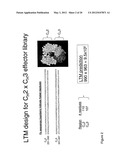 METHOD OF PRODUCING HUMAN IGG ANTIBODIES WITH ENHANCED EFFECTOR FUNCTIONS diagram and image