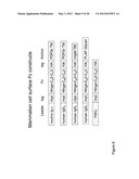 METHOD OF PRODUCING HUMAN IGG ANTIBODIES WITH ENHANCED EFFECTOR FUNCTIONS diagram and image