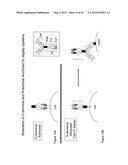 METHOD OF PRODUCING HUMAN IGG ANTIBODIES WITH ENHANCED EFFECTOR FUNCTIONS diagram and image