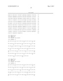 METHOD OF PRODUCING HUMAN IGG ANTIBODIES WITH ENHANCED EFFECTOR FUNCTIONS diagram and image