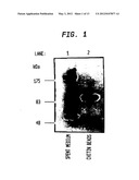Methods and Compositions for Concentrating Secreted Recombinant Protein diagram and image