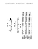 Methods and Compositions for Concentrating Secreted Recombinant Protein diagram and image