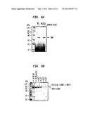 Methods and Compositions for Concentrating Secreted Recombinant Protein diagram and image