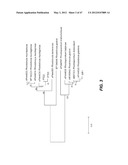 ENDOPHYTIC YEAST STRAINS, METHODS FOR ETHANOL AND XYLITOL PRODUCTION,     METHODS FOR BIOLOGICAL NITROGEN FIXATION, AND A GENETIC SOURCE FOR     IMPROVEMENT OF INDUSTRIAL STRAINS diagram and image