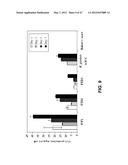 ENDOPHYTIC YEAST STRAINS, METHODS FOR ETHANOL AND XYLITOL PRODUCTION,     METHODS FOR BIOLOGICAL NITROGEN FIXATION, AND A GENETIC SOURCE FOR     IMPROVEMENT OF INDUSTRIAL STRAINS diagram and image