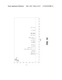 ENDOPHYTIC YEAST STRAINS, METHODS FOR ETHANOL AND XYLITOL PRODUCTION,     METHODS FOR BIOLOGICAL NITROGEN FIXATION, AND A GENETIC SOURCE FOR     IMPROVEMENT OF INDUSTRIAL STRAINS diagram and image