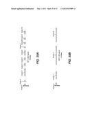 ENDOPHYTIC YEAST STRAINS, METHODS FOR ETHANOL AND XYLITOL PRODUCTION,     METHODS FOR BIOLOGICAL NITROGEN FIXATION, AND A GENETIC SOURCE FOR     IMPROVEMENT OF INDUSTRIAL STRAINS diagram and image