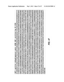 ENDOPHYTIC YEAST STRAINS, METHODS FOR ETHANOL AND XYLITOL PRODUCTION,     METHODS FOR BIOLOGICAL NITROGEN FIXATION, AND A GENETIC SOURCE FOR     IMPROVEMENT OF INDUSTRIAL STRAINS diagram and image