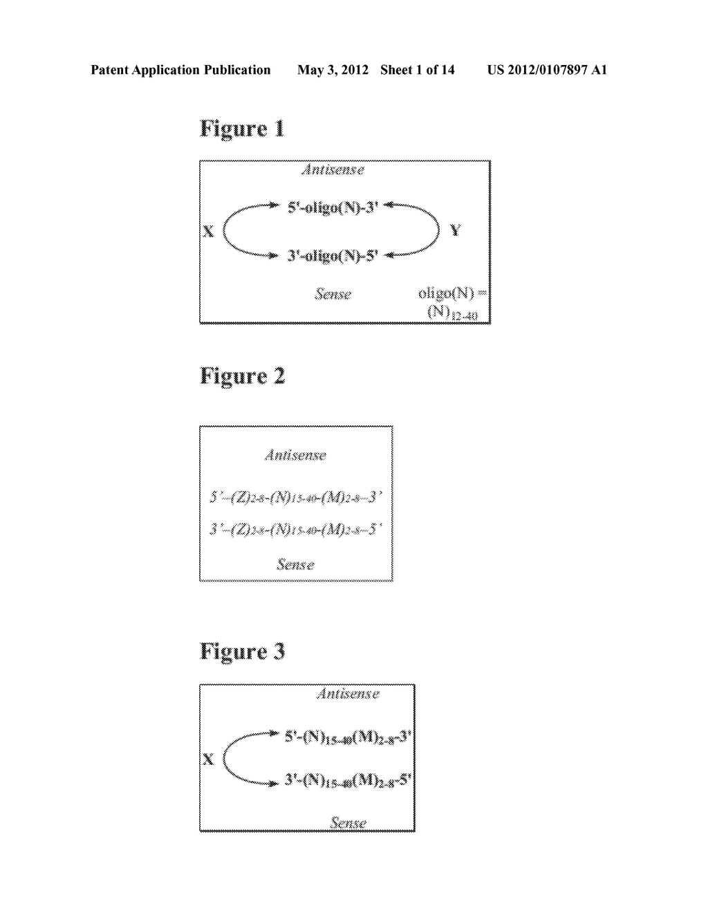 DOUBLE-STRANDED OLIGONUCLEOTIDES - diagram, schematic, and image 02