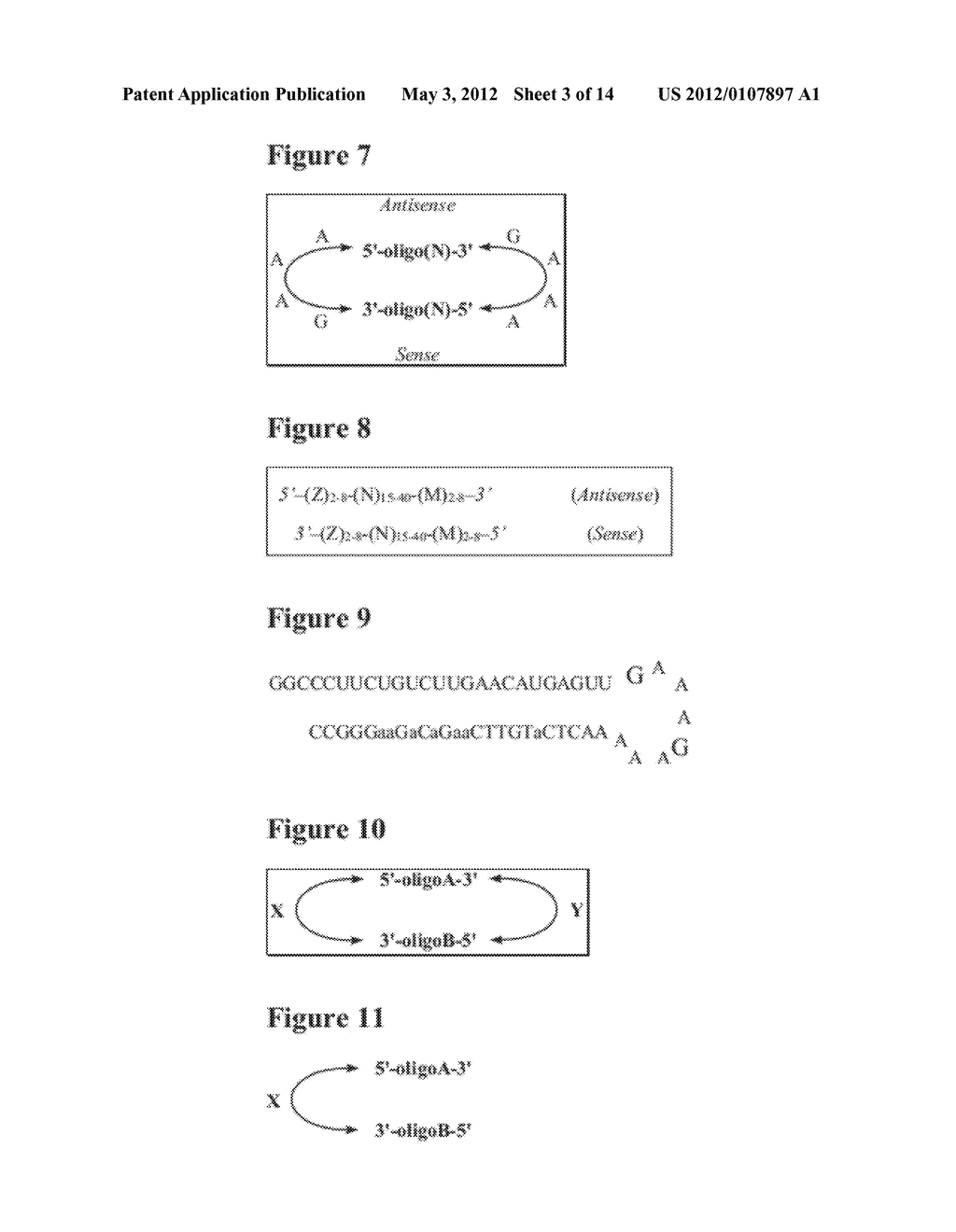 DOUBLE-STRANDED OLIGONUCLEOTIDES - diagram, schematic, and image 04