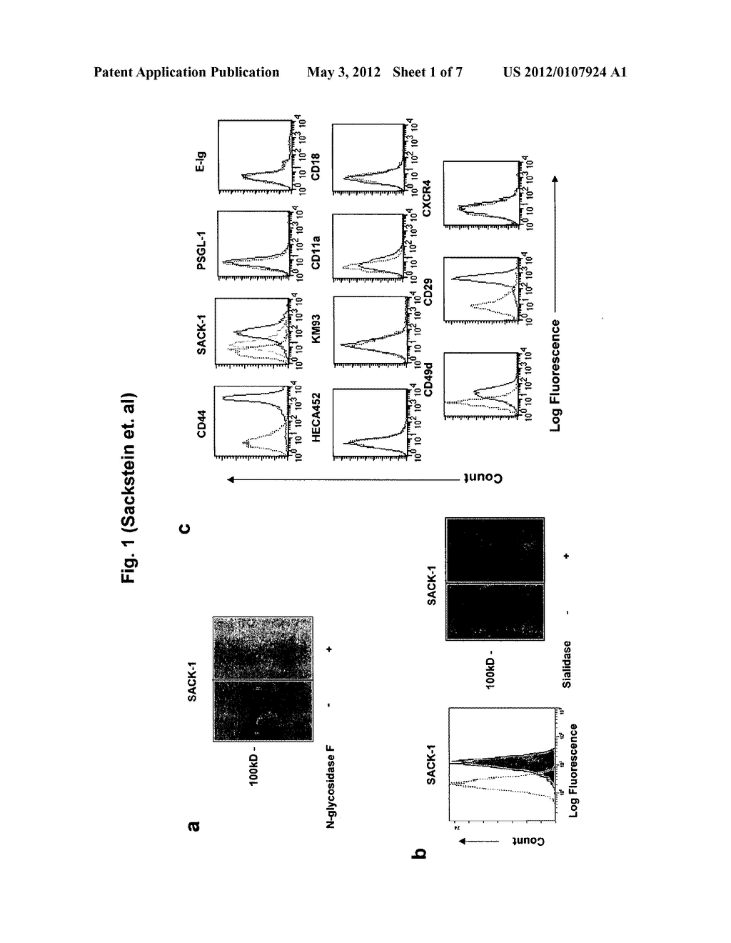 COMPOSITIONS AND METHODS FOR MODIFYING CELL SURFACE GLYCANS - diagram, schematic, and image 02