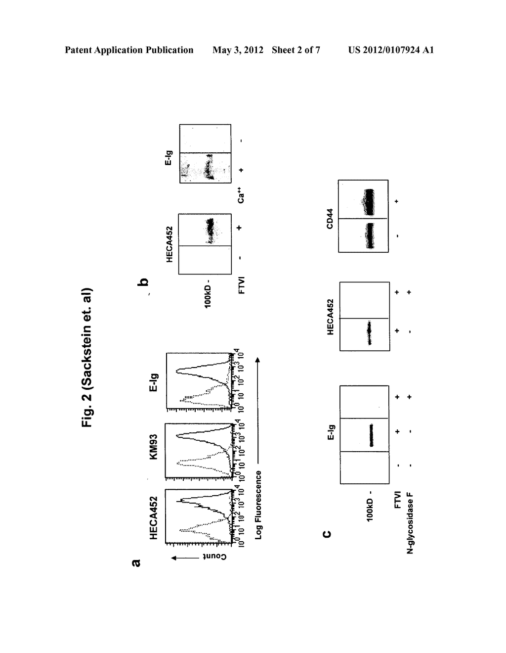 COMPOSITIONS AND METHODS FOR MODIFYING CELL SURFACE GLYCANS - diagram, schematic, and image 03