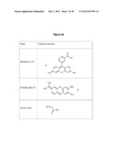 BAIT CHEMISTRIES IN HYDROGEL PARTICLES FOR SERUM BIOMARKER ANALYSIS diagram and image