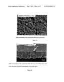 METHOD FOR FORMING AN ALUMINOSILICATE-ZEOLITE LAYER ON A METAL SUBSTRATE,     THE COATED SUBSTRATE AND THE USE THEREOF diagram and image