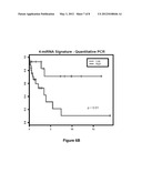 4-miRNA SIGNATURE FOR PREDICTING CLEAR CELL RENAL CELL CARCINOMA     METASTASIS AND PROGNOSIS diagram and image