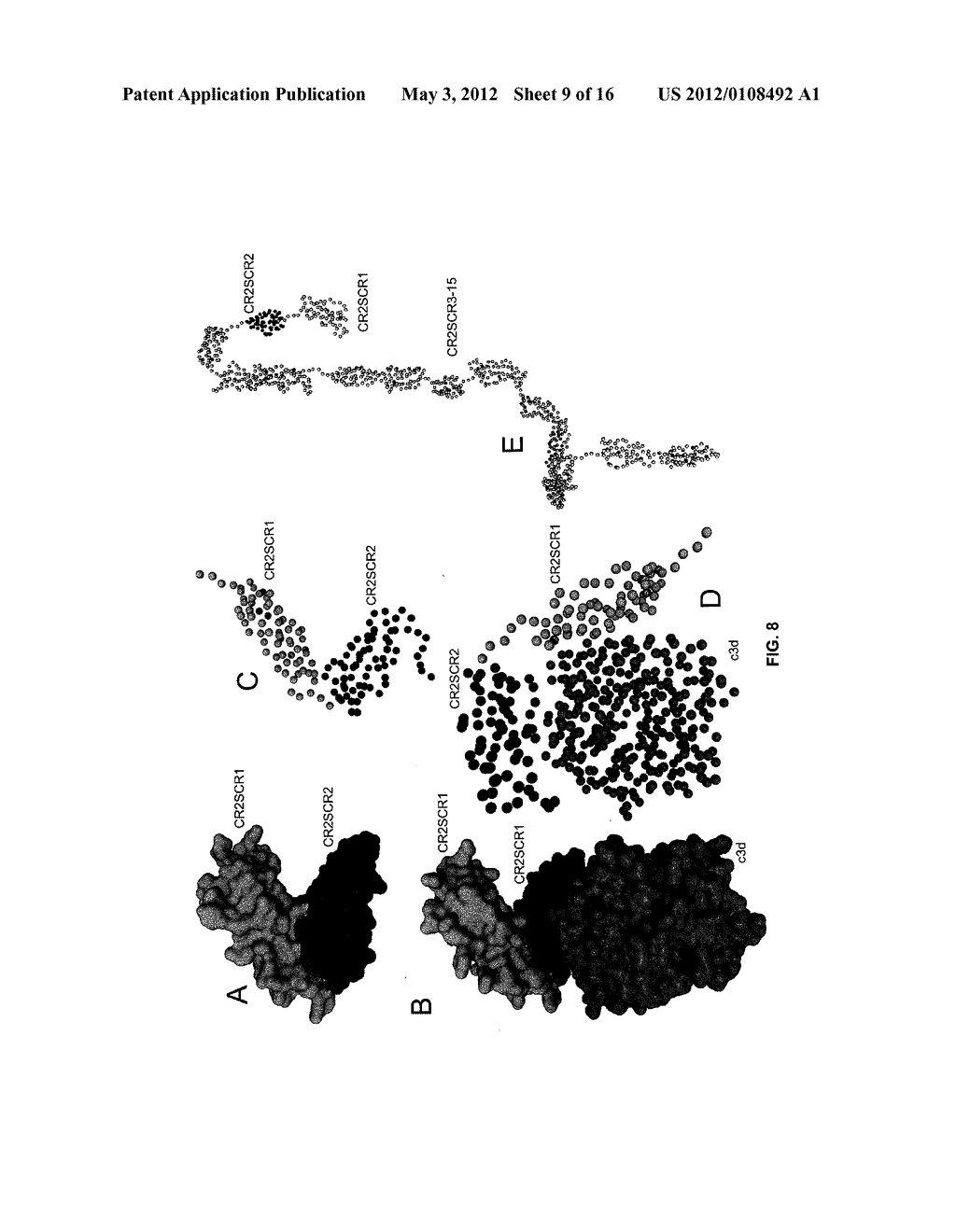 LIGAND-SPECIFIC NON-ANTIBODY COMPOUNDS THAT INHIBIT CR2 ACTIVATION AND     METHODS OF USE THEREOF - diagram, schematic, and image 10