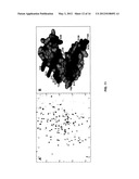 LIGAND-SPECIFIC NON-ANTIBODY COMPOUNDS THAT INHIBIT CR2 ACTIVATION AND     METHODS OF USE THEREOF diagram and image