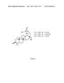 Enhanced Neoglycosides Through Neoglycosylation and Methods of Use Thereof diagram and image