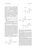 NOVEL PHOSPHATE MODIFIED NUCLEOSIDES USEFUL AS SUBSTRATES FOR POLYMERASES     AND AS ANTIVIRAL AGENTS diagram and image