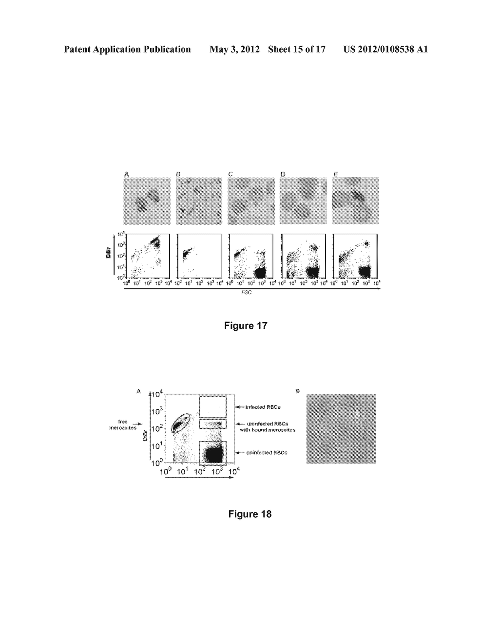 SULFATED POLYSACCHARIDES HAVING ANTIPLASMODIAL ACTIVITY AND METHODS AND     PRODUCTS FOR IDENTIFYING ANTIPLASMODIAL ACTIVITY - diagram, schematic, and image 16