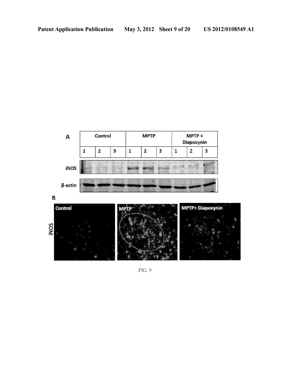 NEUROPROTECTIVE COMPOUNDS AND THEIR USE - diagram, schematic, and image 10