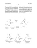 METHODS AND COMPOSITIONS FOR THE TREATMENT OF NEUROPSYCHIATRIC DISORDERS diagram and image