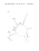 OLIGOMERS diagram and image