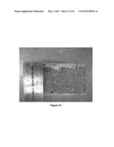 SOY METHYL ESTER POLYSTYRENE BLENDS FOR USE IN CONCRETE diagram and image