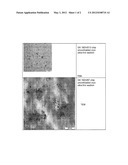 POLYAMIDE FIBERS WITH DYEABLE PARTICLES AND PRODUCTION THEREOF diagram and image