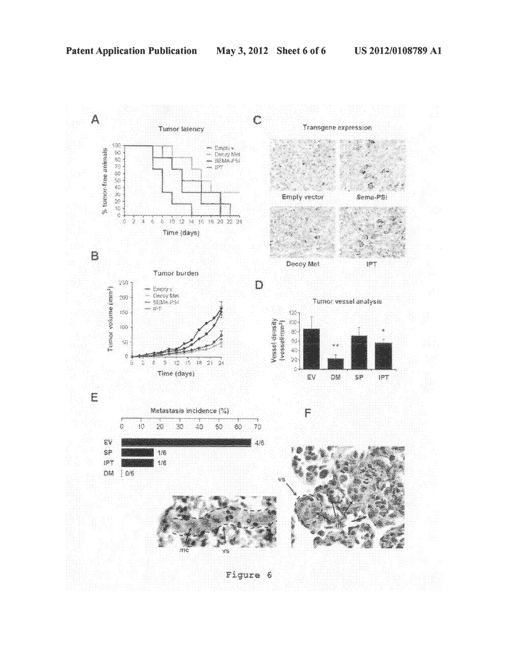 High affinity binding site of HGFR and methods for identification of     antagonists thereof - diagram, schematic, and image 07